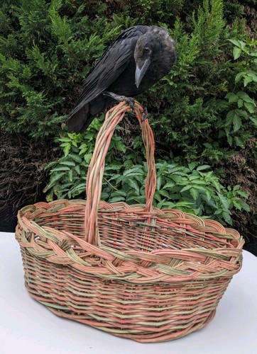 Vintage large wicker basket - vintage,