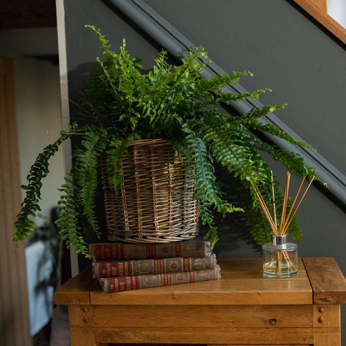 Antique round wicker lined - wicker,