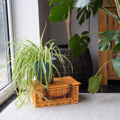 Beedon natural wicker - beedon, basket